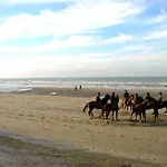 In Near Belgium Pier Blankenberge