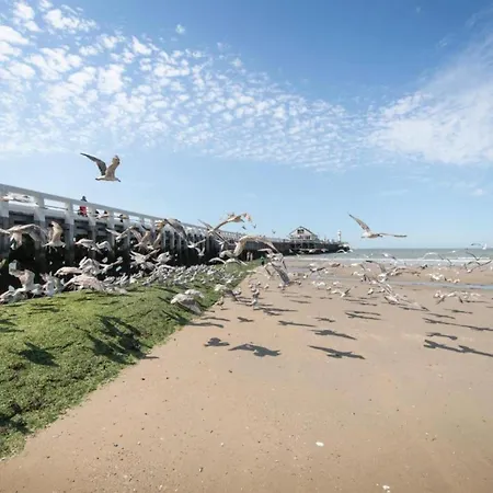 Apartman In Near Belgium Pier