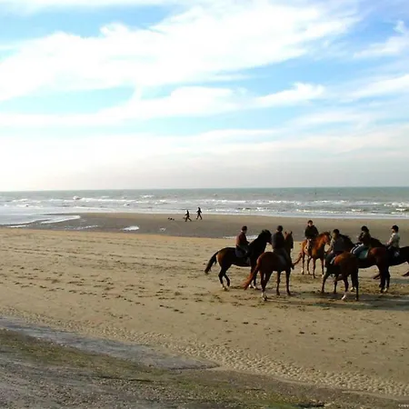 In Near Belgium Pier